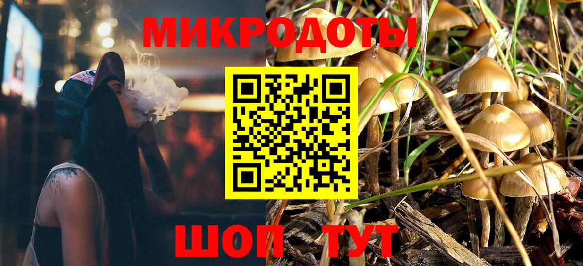 Псилоцибиновые грибы мухоморы  Вход с VPN  Большой Камень  Псилоцибиновые грибы прущие грибы 